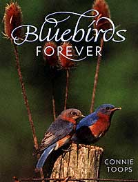 bluebirds forever